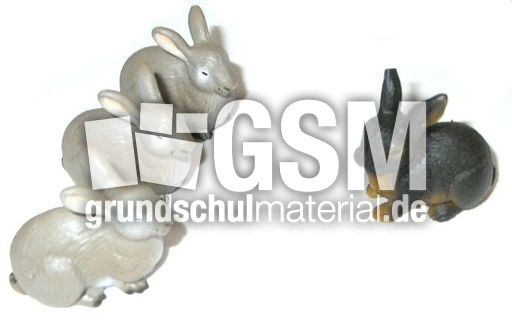 Hasen3+1.jpg